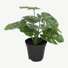 Plantă MONSTERA artificială 29 cm